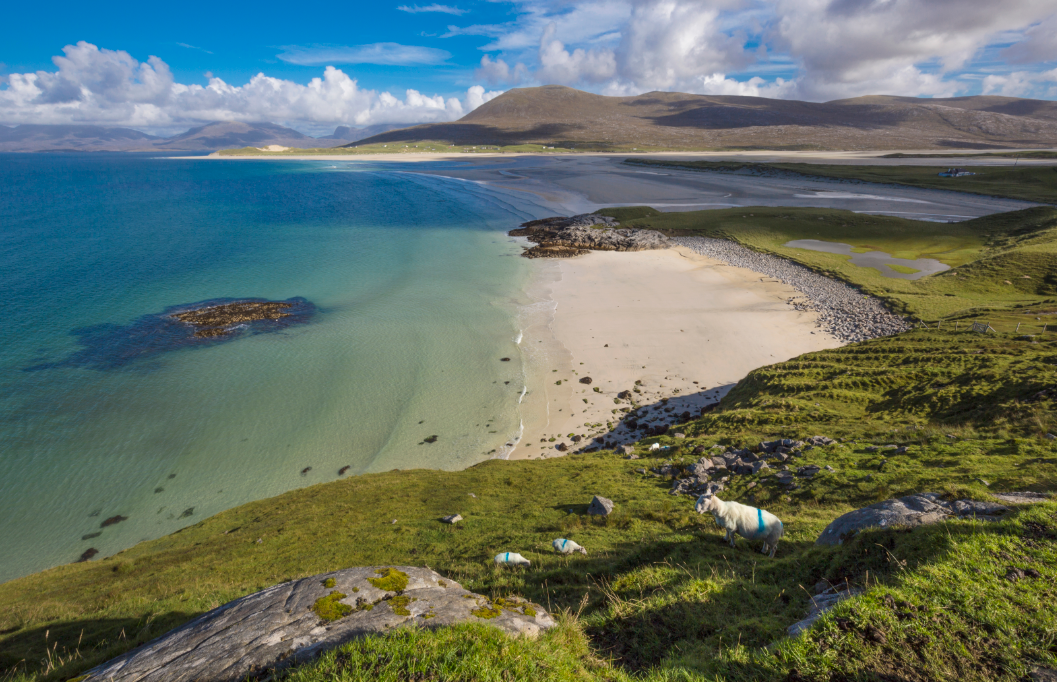 Turquoise sea and white sands at Luskentyre beach.